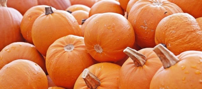 imagenes_calabaza_8578a68a