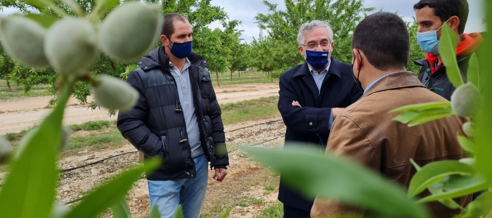 Olona pone de manifiesto el compromiso del Gobierno de Aragón de compensar los daños generados por la crecida del Ebro