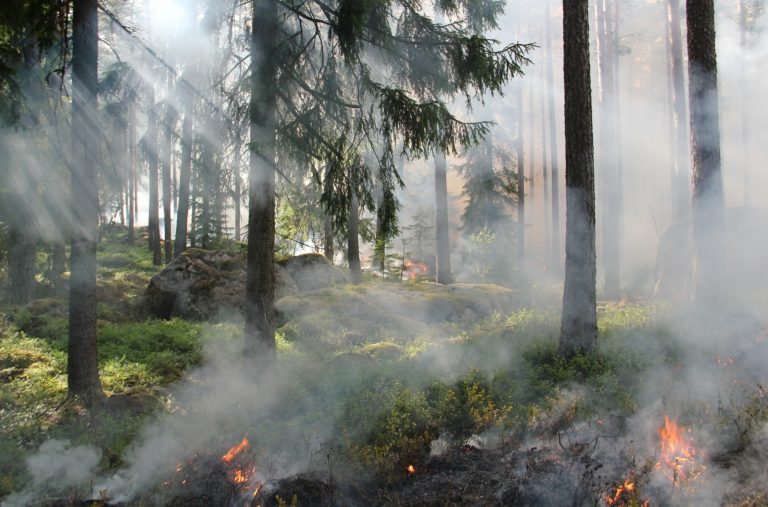 Alerta roja de peligro de incendios forestales en zonas de las tres provincias