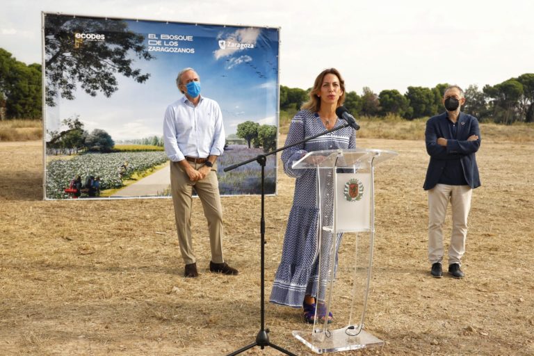 El Bosque de los Zaragozanos comienza a ser una realidad con los primeros trabajos en los Campos del Canal y los montes de Peñaflor y La Plana