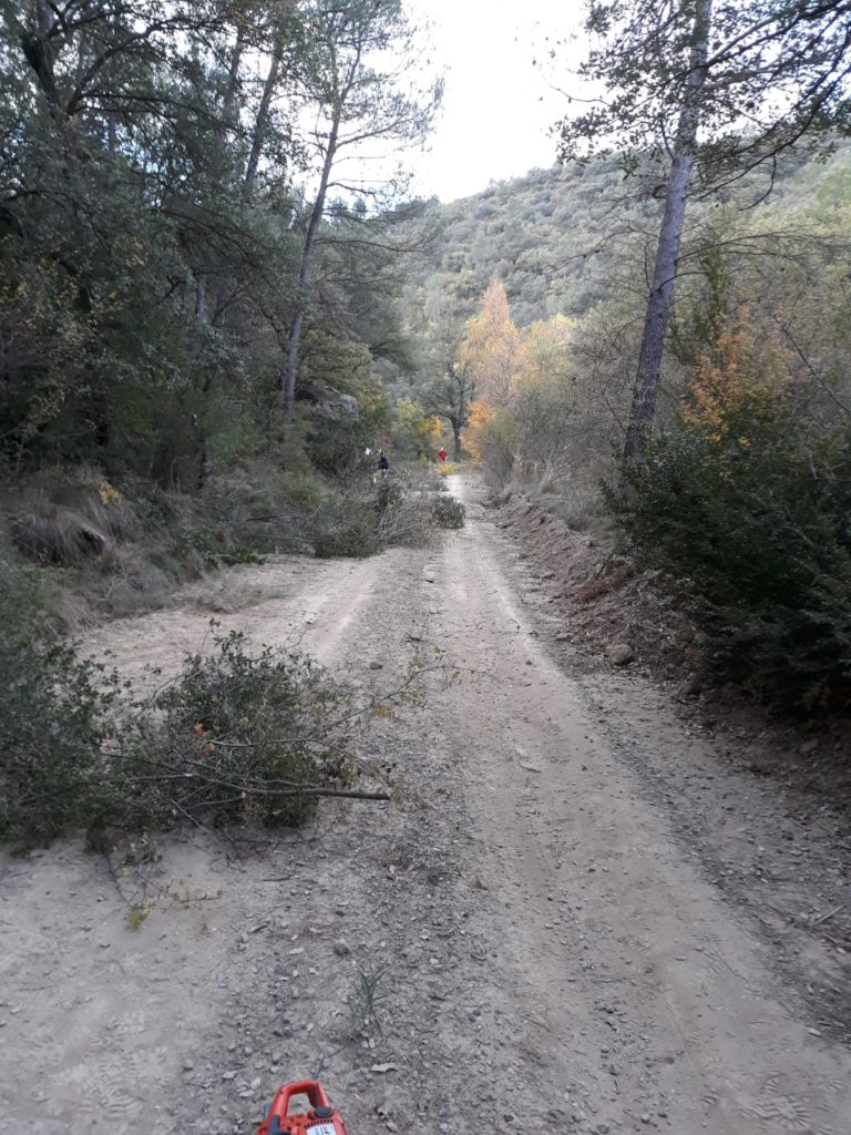Nueva campaña de limpieza de montes en la Comarca de las Cinco Villas