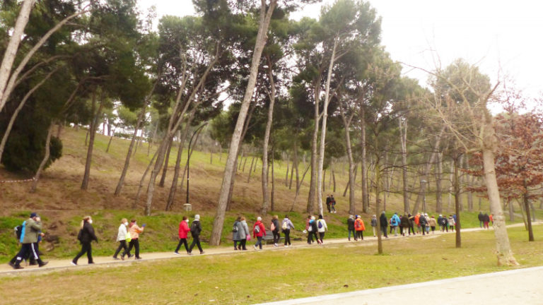 Senderismo en grupo por Zaragoza para mayores de 55 años