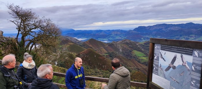 Cinco hembras de Quebrantahuesos criadas este año en Aragón vuelan ya en los Picos de Europa