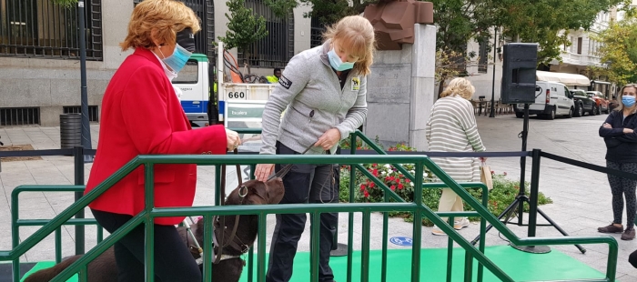 El Gobierno de Aragón trabaja en el anteproyecto de ley para regular el uso de perros de asistencia para las personas con discapacidad en la Comunidad