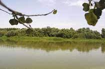 Visitas guiadas para conocer la biodiversidad de los espacios naturales de Zaragoza
