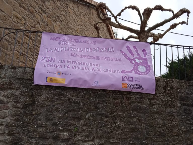 La Comarca de Cinco Villas se han unido contra la violenciade género