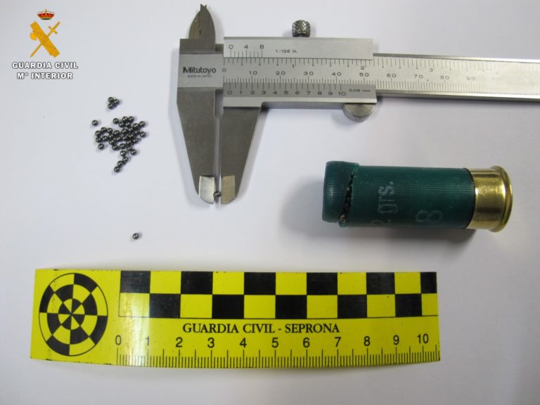 El SEPRONA de la Guardia Civil investiga a un vecino de Garrapinillos como presunto autor de la muerte de un gavilán común