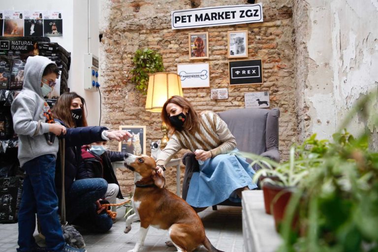 Zaragoza acoge el mercado Pet Market ZGZ dedicado a las mascotas