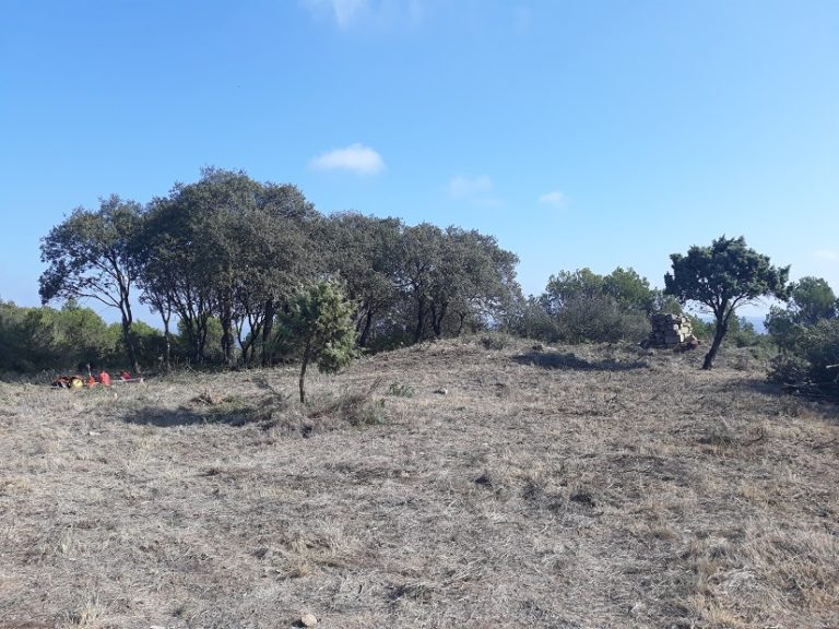 La Comarca de las Cinco Villas apuesta por el medio natural con trabajos selvícolas