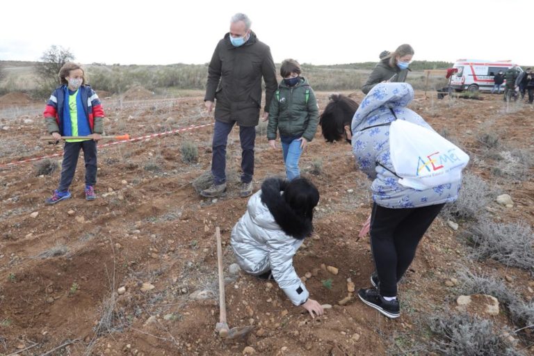 400 escolares de cuatro colegios protagonizan en Peñaflor las primeras plantaciones del Bosque de los Zaragozanos