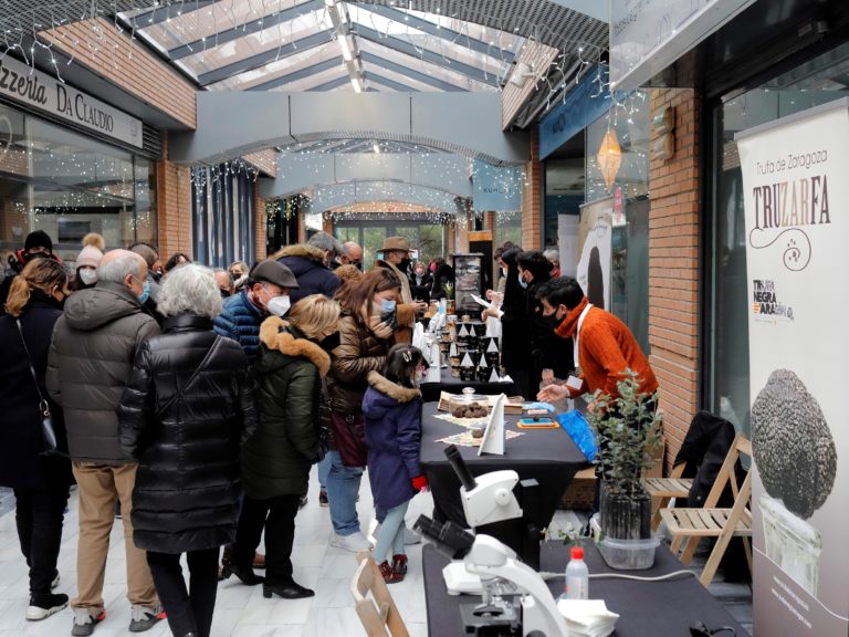 La muestra de la trufa negra de la provincia de Zaragoza recibe a más de 3.000 visitantes La muestra de la trufa negra de la provincia de Zaragoza recibe a más de 3.000 visitantes