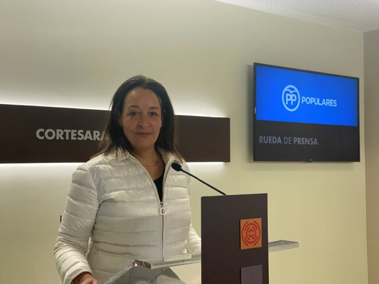 El PP pide al Gobierno de Aragón abordar el nuevo modelo de financiación con mayor seriedad, con lealtad y manteniendo el consenso