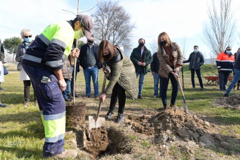 Más de 40 empresas de Zaragoza Congresos plantan 650 árboles en el Bosque de los Zaragozanos