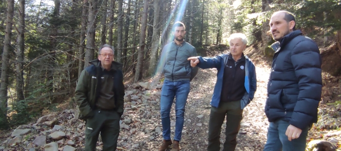 Medio Natural multiplica su inversión para facilitar la actividad ganadera extensiva en Espacios Naturales Protegidos y Montes de Utilidad Pública, alcanzando los 1,6M€