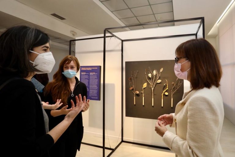 NanoAsalto, una exposición de arte inspirada en la investigación en nanociencia de Aragón