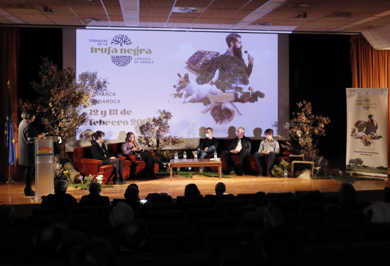 La Comarca Campo de  Daroca, un año más, capital mundial de la trufa negra