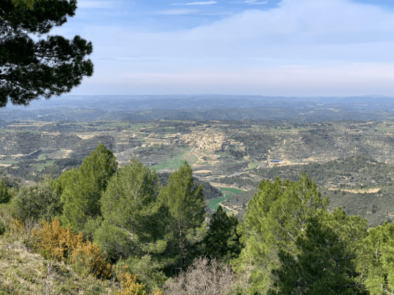 El Gobierno de Aragón invertirá 56 millones en la recuperación de ecosistemas y biodiversidad