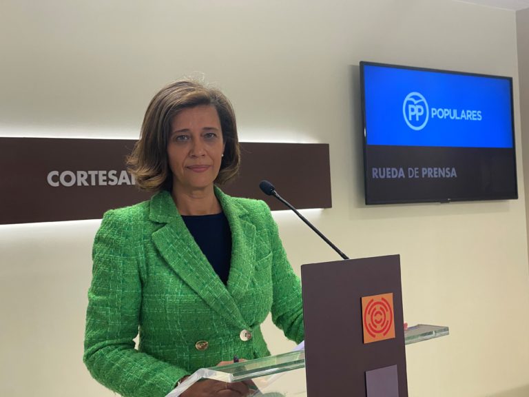 Orós (PP) pide establecer ayudas directas a familias con dificultades para poder pagar la luz