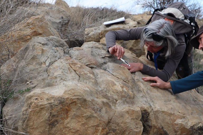 Descritas nuevas y gigantescas pisadas de dinosaurio en Teruel