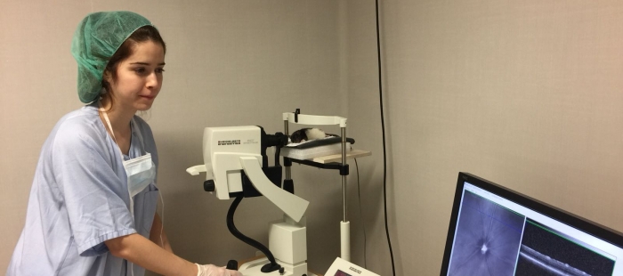 La Sociedad Española de Glaucoma premia un proyecto del Instituto de Investigación Sanitaria Aragón