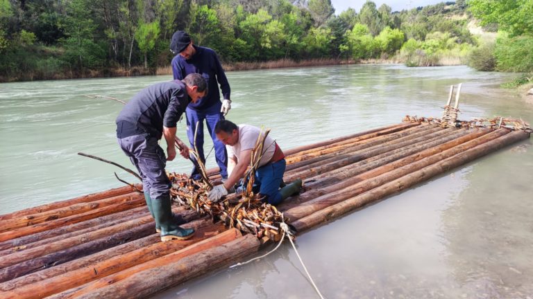 Finalizada la construcción de las nabatas que descenderán este fin de semana por el río Gállego.