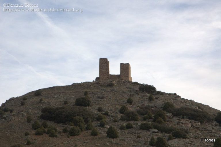 El Gobierno invertirá en la reforma y consolidación del Castillo de Santed