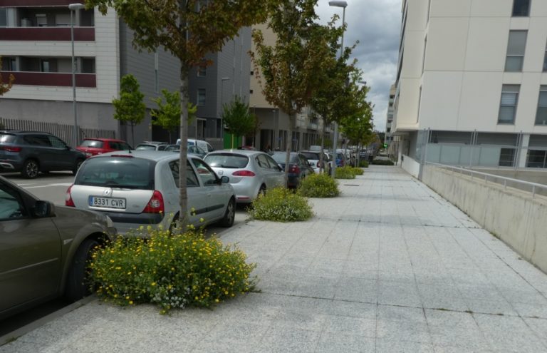 Los alcorques floridos ya forman parte de la Estrategia Verde del Ayuntamiento de Zaragoza