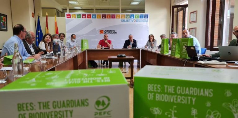 Aragón invertirá 4 millones para potenciar la gestión forestal sostenible
