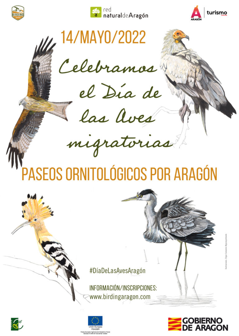 El Gobierno de Aragón celebra el Día de las Aves Migratorias con una jornada histórica por todo el territorio