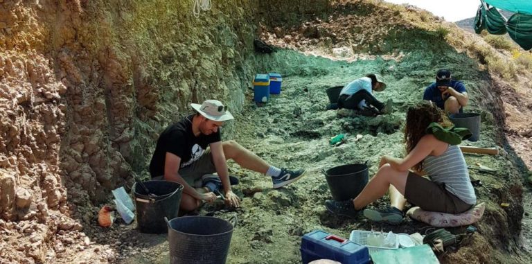 Paleontólogos encuentran fósiles de hace 8 millones de años en Teruel