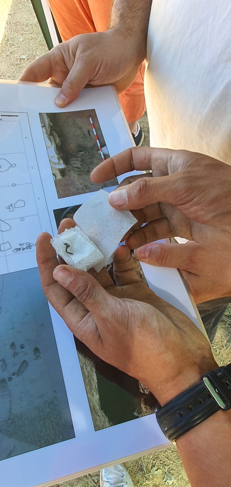 Cabeza Ladrero, un yacimiento por descubrir cerca de Sofuentes