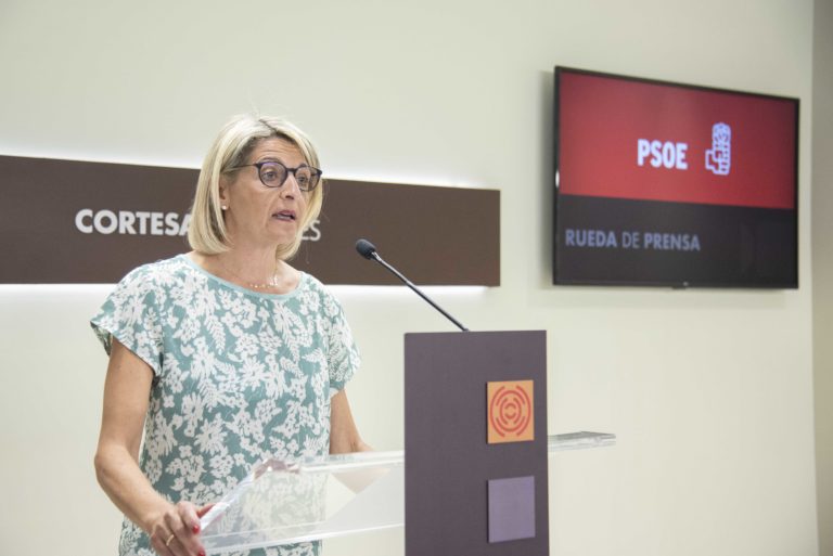 PSOE critica el pacto de Azcón con Vox sobre menores migrantes y negacionismo climático