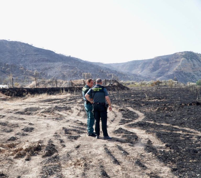 La buena evolución de los incendios estabilizan el fin de semana