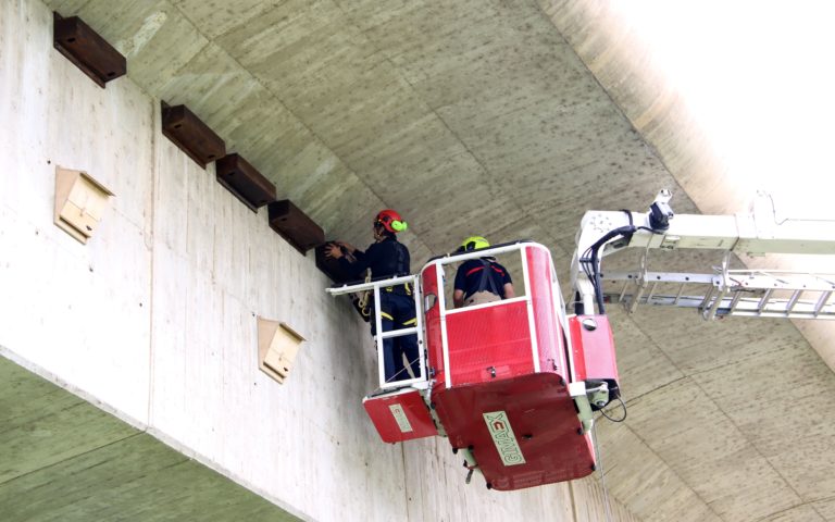 El Ayuntamiento instala cajas nido para vencejos en el Puente de la Unión para intentar aumentar su población