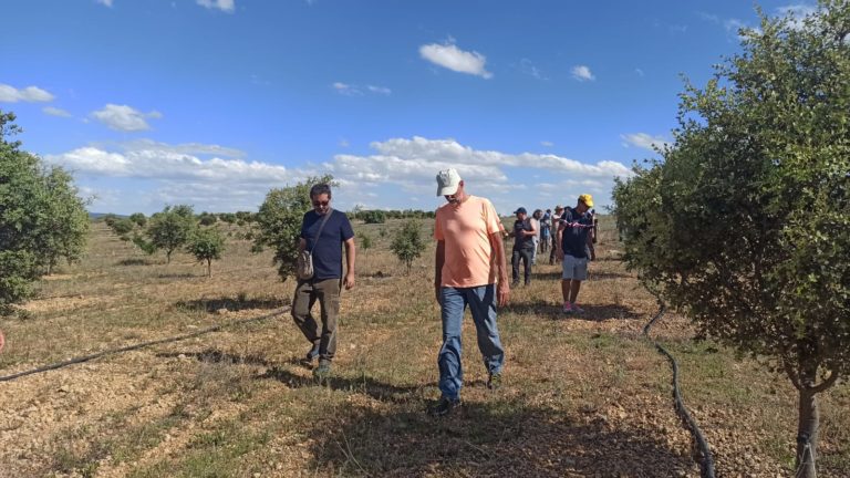 Truficultores e investigadores italianos visitan las explotaciones truferas de la Comarca Campo de Daroca
