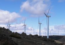 El Gobierno de Aragón defiende los registros en la trama de corrupción medioambiental y respalda la investigación judicial