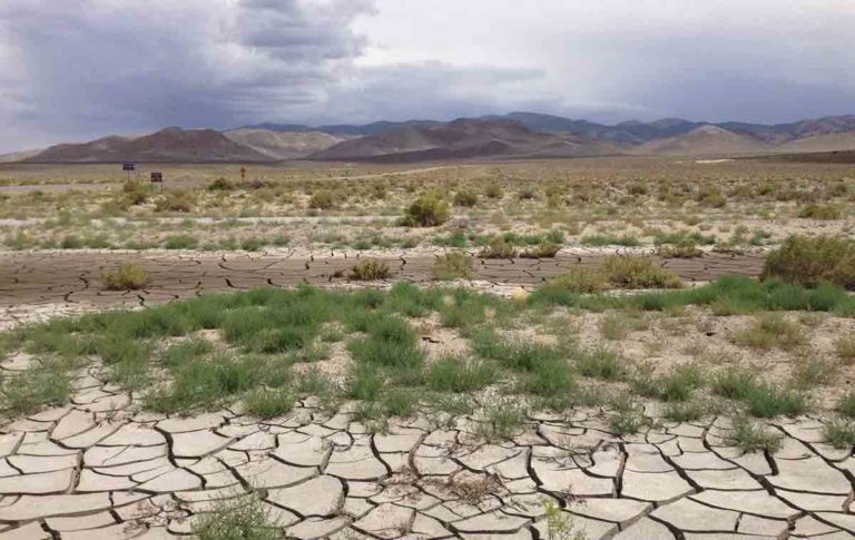 Aragón recibirá 81 M€ de ayudas extraordinarias a agricultores y ganaderos para hacer frente a la sequía