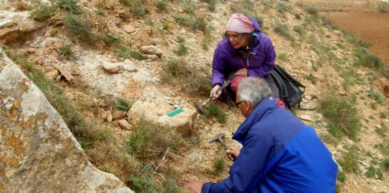‘Monginaia’, un nuevo bivalvo de agua dulce que vivió en Teruel hace 129 millones de años