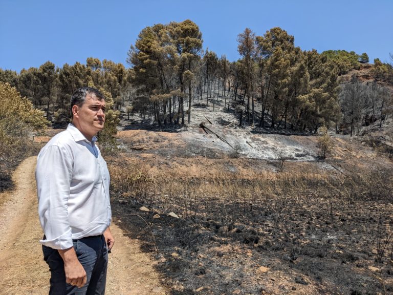 CHA solicita en el Senado la declaración como zona catastrófica de las zonas destruidas por el incendio de Ateca