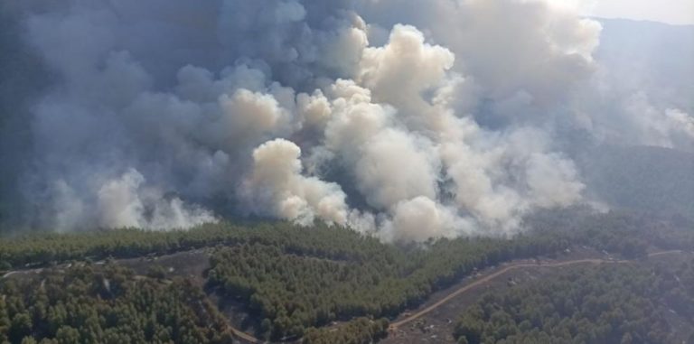 Alrededor de 500 hectáreas quemadas en el incendio forestal de Ateca