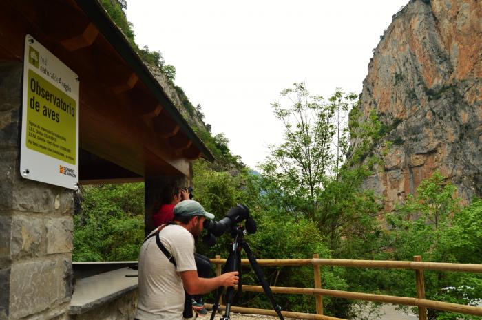 Red Natural de Aragón presenta una web pionera e intuitiva que acerca la naturaleza a los aragoneses