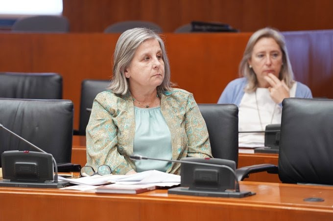 Cs pide elaborar un protocolo que regule el procedimiento de actuación de los gabinetes psicosociales adscritos a los juzgados de familia