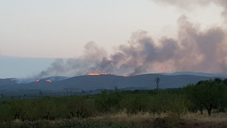 Teruel Existe solicita la comparecencia de la ministra de Transportes para que aclare el grave incidente del tren por el incendio de Bejís