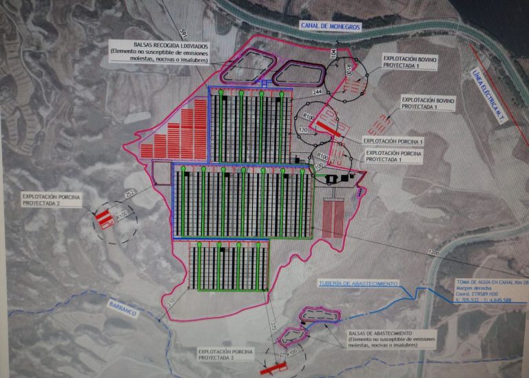 Satisfacción en CHA por la negativa del INAGA a la instalación de una macrogranja de 20.000 vacas  en Torralba de Aragón
