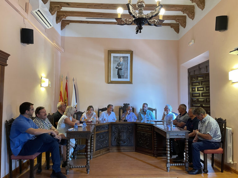 La DPZ aportará al plan de restitución los fondos necesarios para reparar los daños en las infraestructuras municipales afectadas por el incendio de Ateca