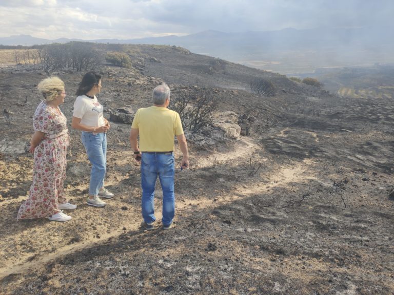 CHA solicita en el Senado que el Gobierno de España declare “zona catastrófica” a las comarcas afectadas por el incendio del Moncayo