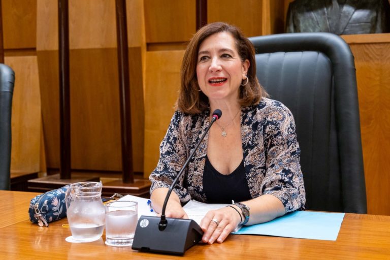 El Gobierno de Zaragoza presenta los planes y proyectos para el nuevo mandato en la primera Comisión de Cultura, Educación y Turismo