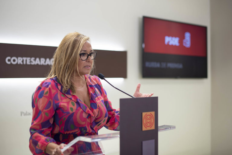 Mayte Pérez lamenta la falta de institucionalidad del discurso de Azcón