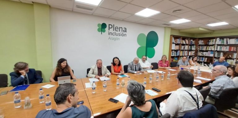 Susín: «impulsaremos los proyectos de vida independientes de las personas con discapacidad»