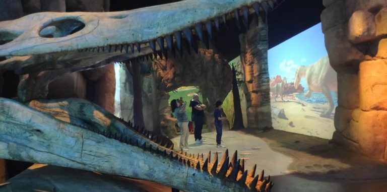 Solamente el 7,8% de los visitantes de Dinópolis proceden de Aragón.